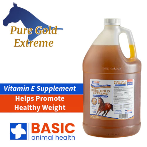 Pure Gold Extreme for Horses Gallon