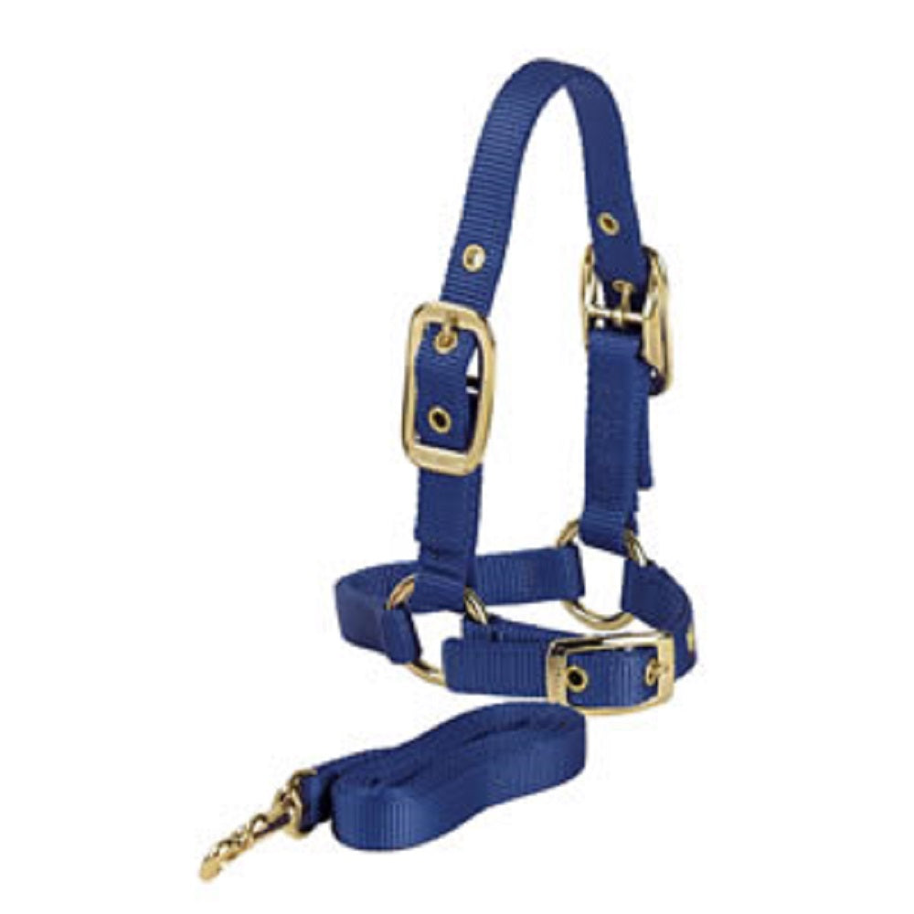 Sheep Halter w/ Adjustable Chin Strap & Lead