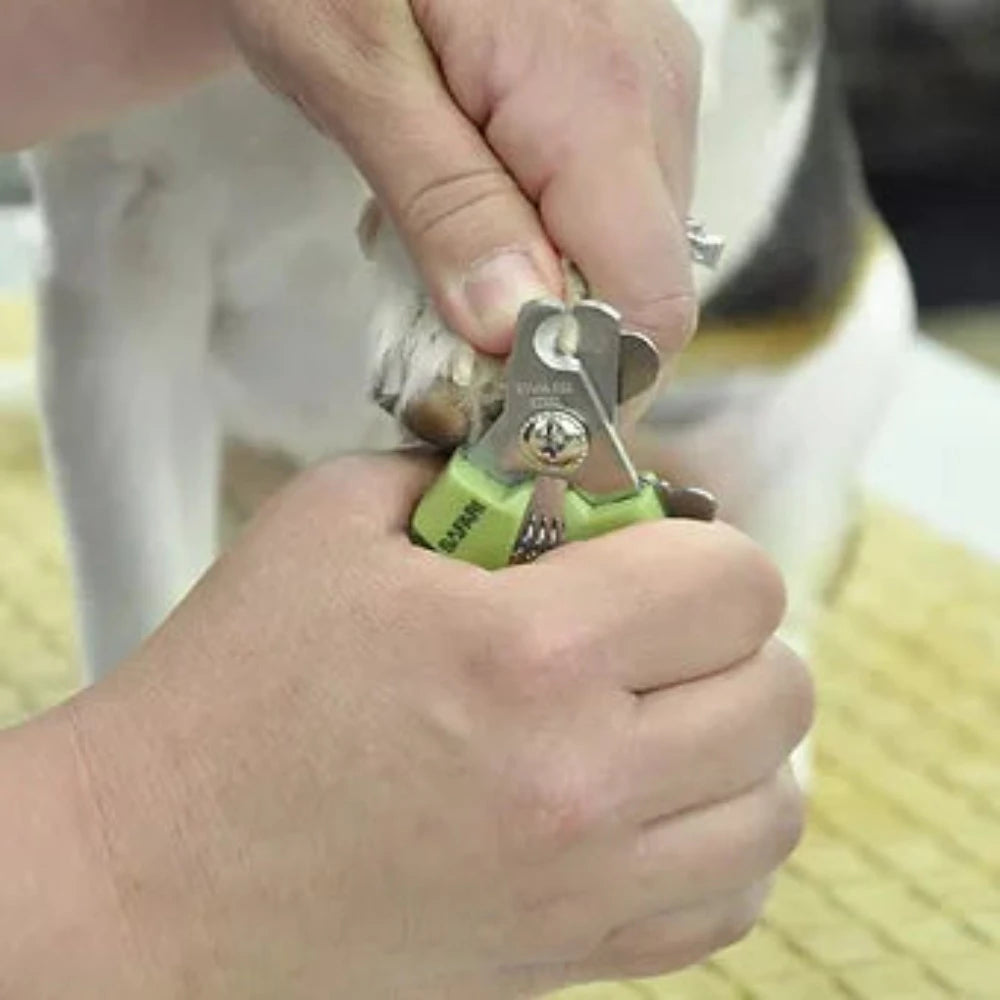 Safari nail outlet clippers for dogs