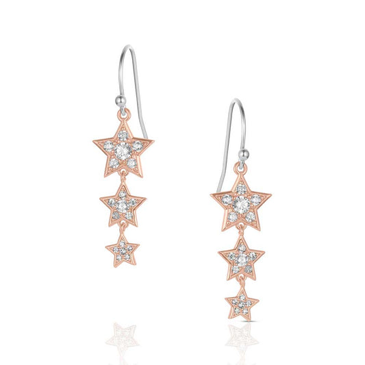 Montana Silversmith Trio of Wishes Earrings