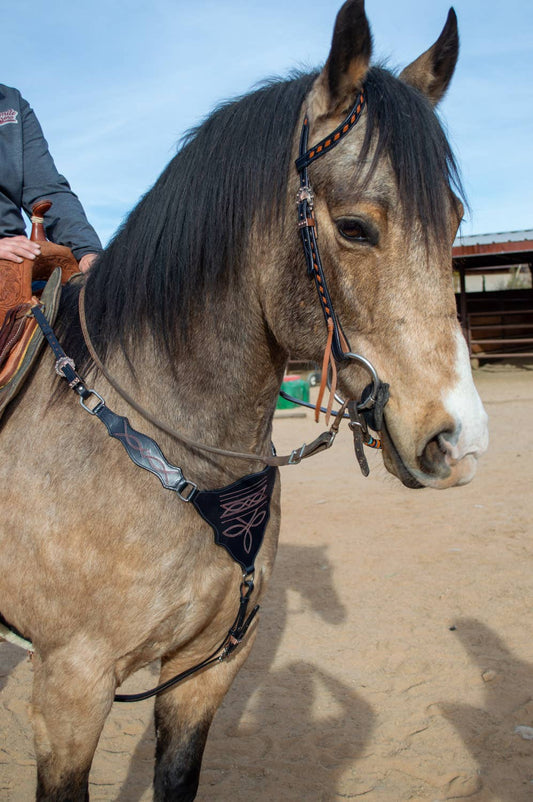 Schulz Navy Boot Stitch Headstall and Breast Collar Set