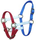 Showman RED WHITE & BLUE NYLON HALTER Adjustable Nose FOAL or MINI HORSE