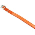 Valhoma's Reflexite Neon Orange Hunting Dog Collar. 3/4" wide