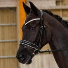 Horze brand Size Black Grayson Snaffle Bridle.