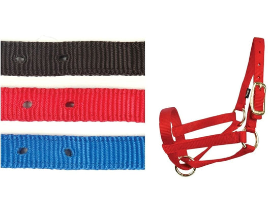 Weaver Nylon Llama Halter Color Choice