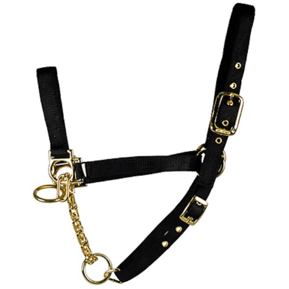 Valhoma Control Yearling Cow Control Halter