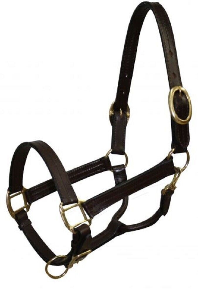 Cob Leather Halter w/ Brass hardware, Color choice