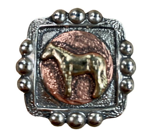 Square Horse Concho Style Wild Rag Slide