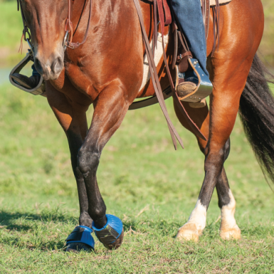 Cashel Rubber Bell Boots