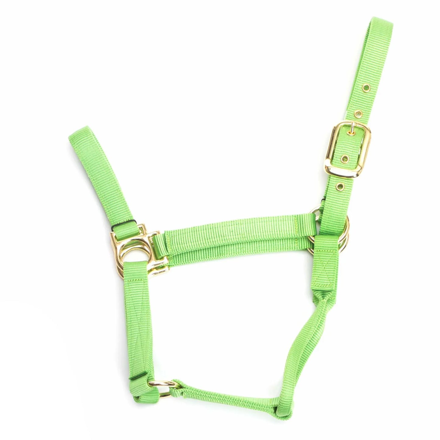 Sale! Valhoma Colt 200-300 lbs. Nylon Halter