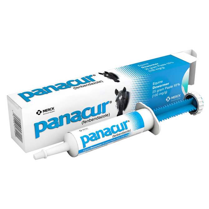 Panacur Horse Dewormer Paste 25 gram