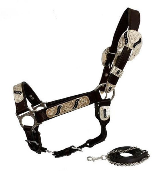 Yearling size Leather Silver Show Halter Black scroll w/ Lead