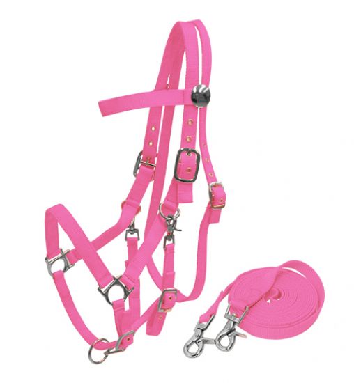 Nylon Combination Halter Bridle with Reins