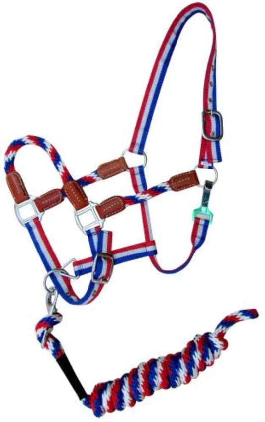 Red White & Blue Nylon Halter w/Leather Accents & Matching Lead