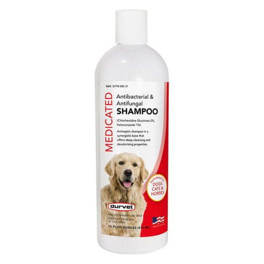 Medicated Antibacterial & Antifungal Shampoo 16 oz.