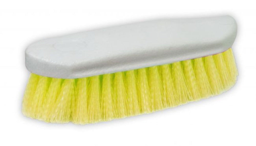 Neon Color Stiff Bristle Brush on a oval base