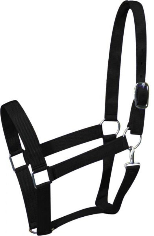 Draft horse size Double Ply Nylon Halter