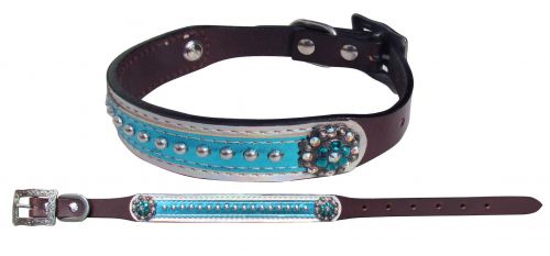 Genuine leather dog collar with metallic teal overlay