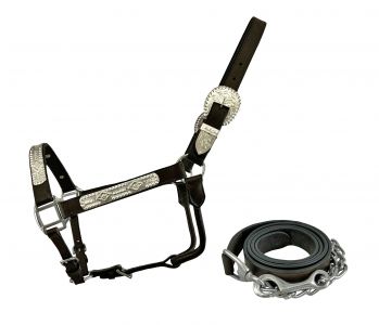 Average horse size Dark oil LEATHER SHOW HALTER w/ 6' Lead & Embossed silver