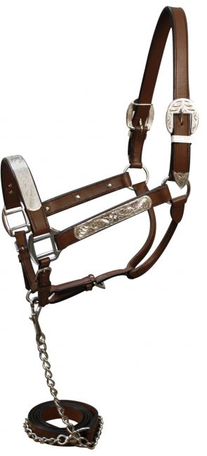 Horse Leather Silver Show Halter w/ chain lead