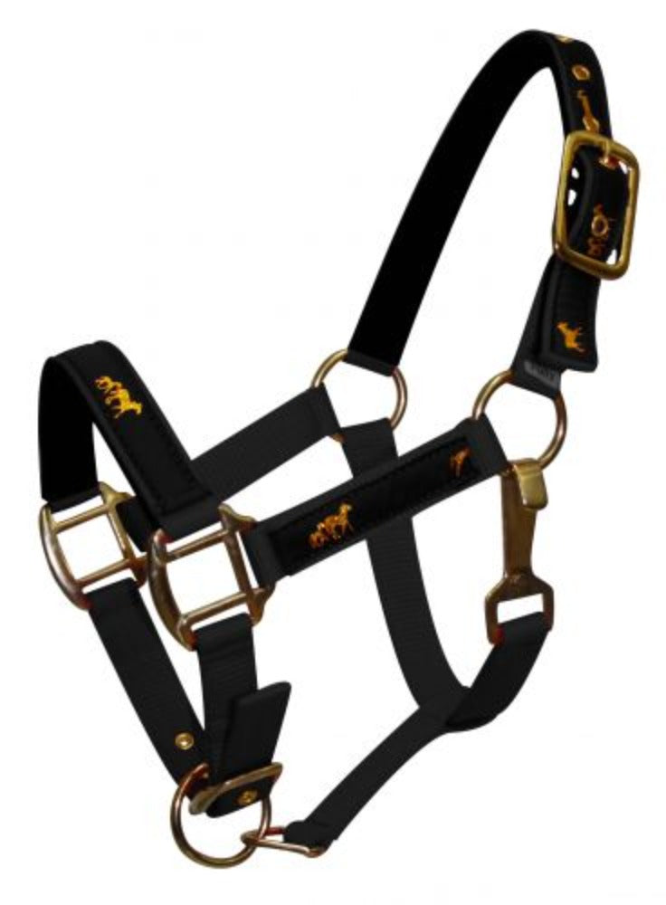 Nylon Pony Halter with Gold Horse Emblem