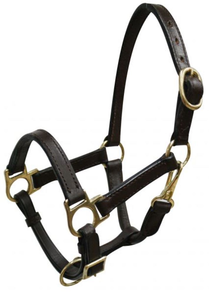 Mini Horse Leather Halter with brass hardware