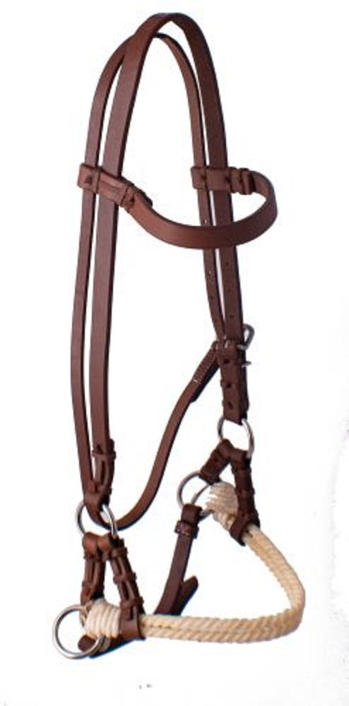 Oiled Harness leather side pull