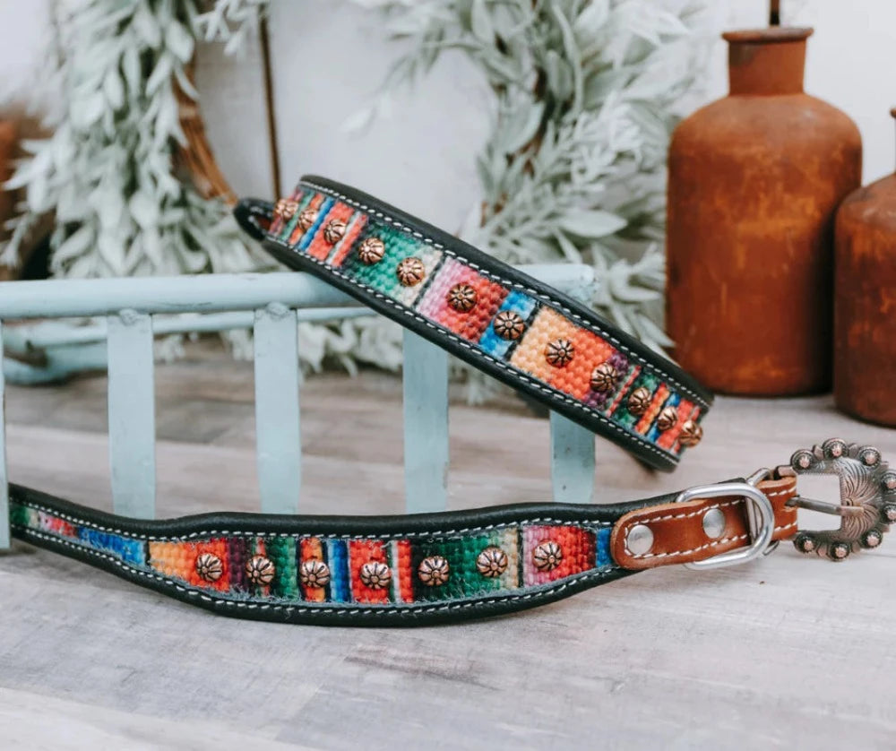 Embroidered Serape Design Dog Collar w/ Copper Buckle