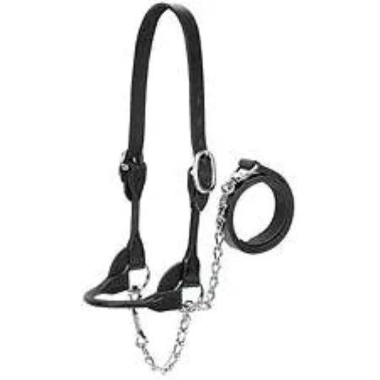 Dairy/Beef Rounded Black Show Halter - Large, X-Large