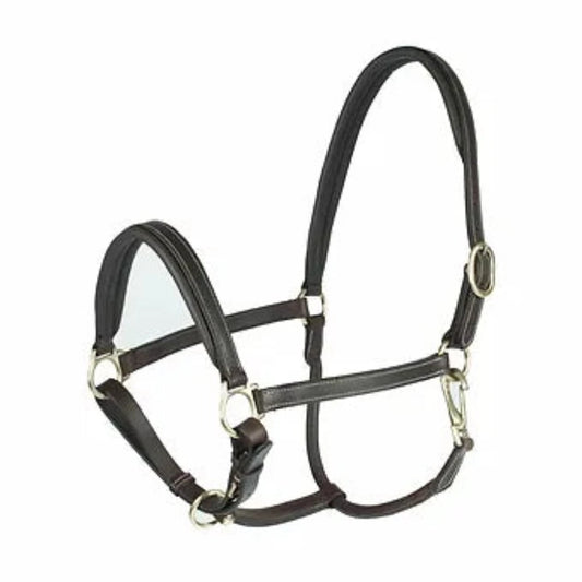 Horze Dark Oil Leather Barn Halter Cob / Horse / Extra Full