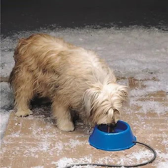 Blue plastic Heated 5 Quart Pet Bowl w 6' foot cord