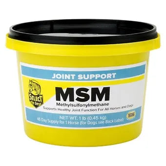 MSM Joint Supplement for Horses, 3 SIZES