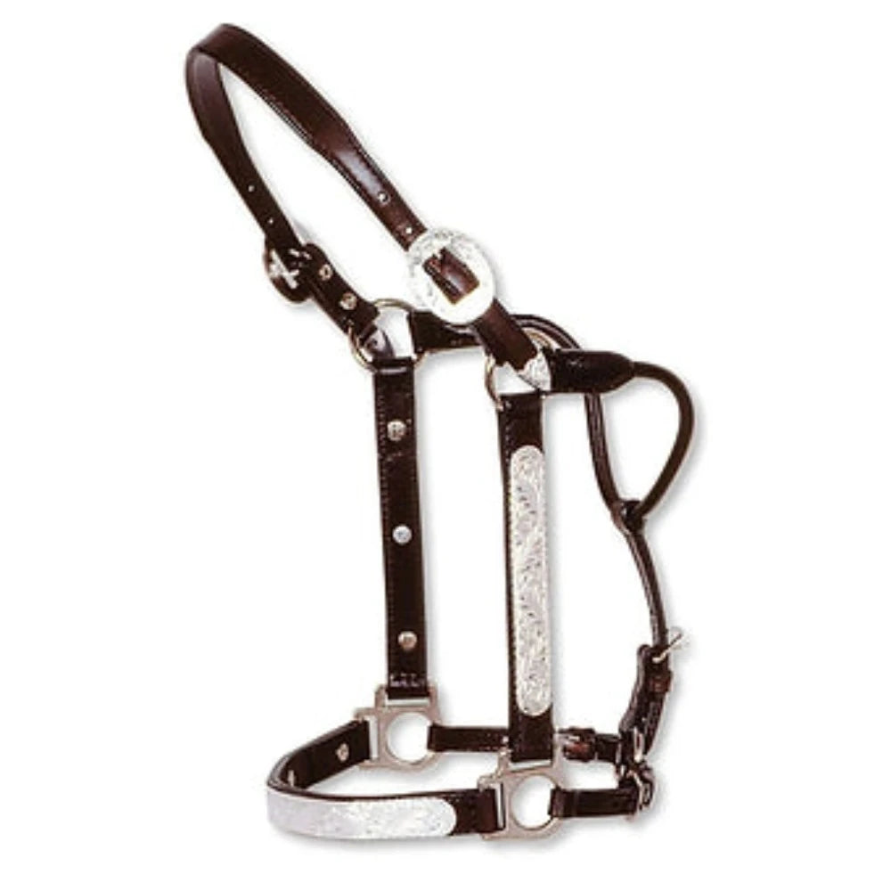 Circle Y Engraved Silver Show Halter, Size choice