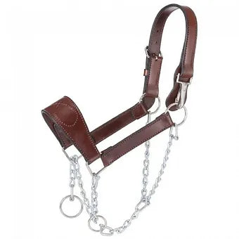 Adjustable Leather Mule Halter w/ Draw chain Stainless steel hardware