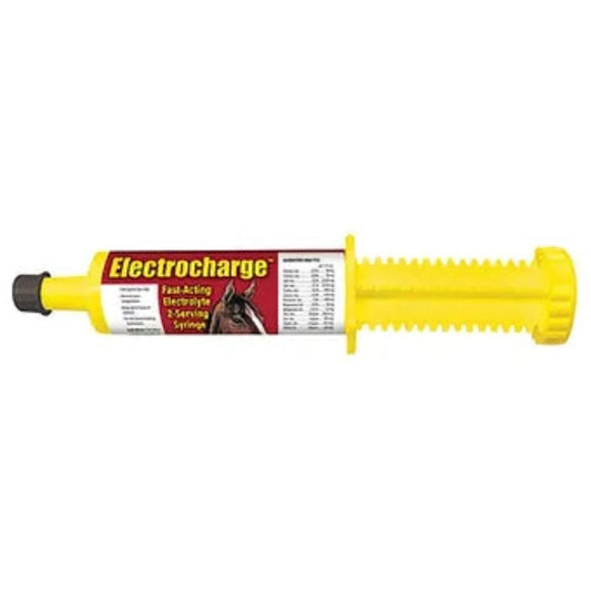 Electrocharge for Horses Paste 60 cc