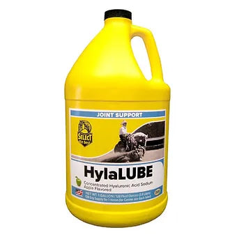 HylaLUBE Joint Supplement for Horses and Dogs Gallon w/Pump