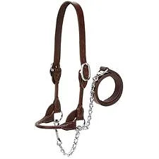Dairy/Beef Rounded Brown Show Halter - Medium, Large