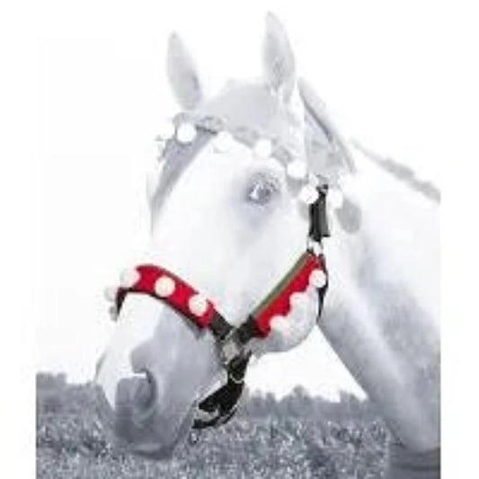 3 Piece Elf Halter Set