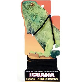 Iguana Leash Combo