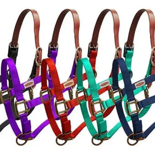 Breakaway Nylon Halter, Color choice