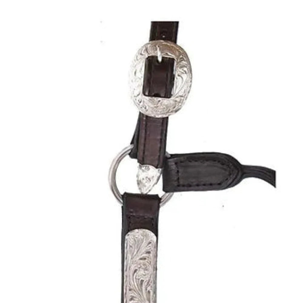 Circle Y Engraved Silver Show Halter, Size choice