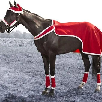 4 pc Horse Jolly Santa Set w/ Quarter Sheet Hat Halter set Leg wraps