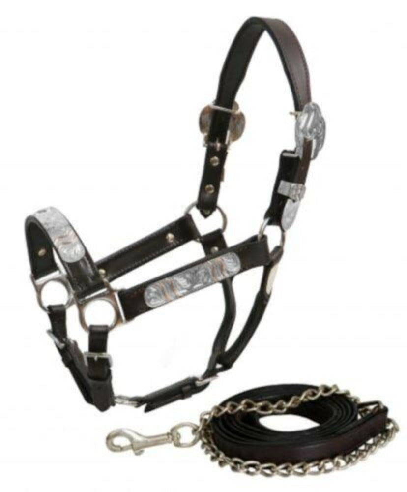 Yearling size Dark leather Silver Show Halter w/ 6' Lead stud chain