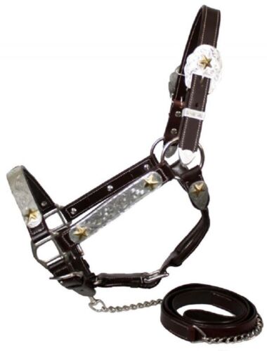 Adjustable Horse size Dark leather Silver Show Halter Gold stars 6' Lead Chain