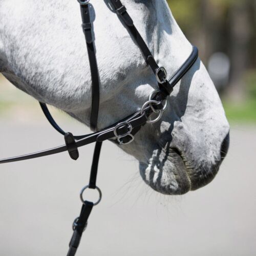Horze Black Leather Bitless Horse Bridle, Size choice