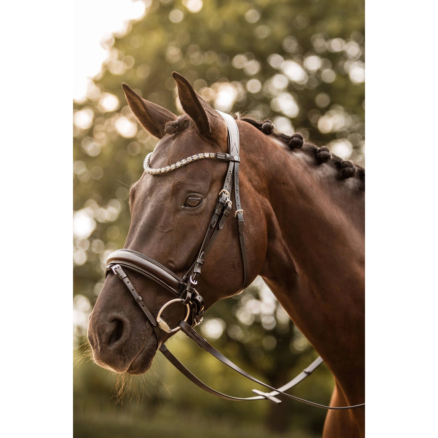 Horze Pony Snaffle Bridle w/ Curved Crystal Browband